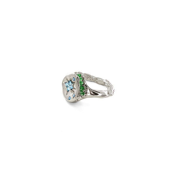 SMALL BUTTON RING